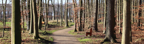 startseite trauerbegleitung